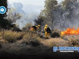 Incendio forestal consume 120 hect&aacute;reas en Real del Castillo