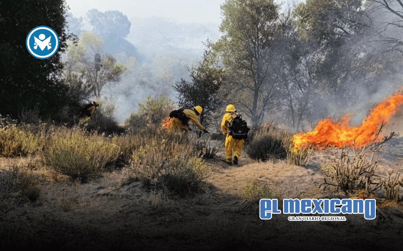 Incendio forestal consume 120 hect&aacute;reas en Real del Castillo