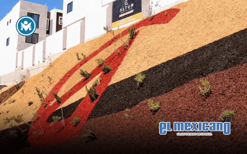 REDD transforma espacios urbanos con infraestructura verde