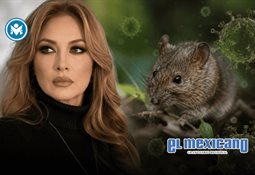 Britney Spears habr&iacute;a causado esc&aacute;ndalo en restaurante