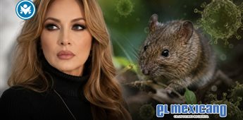 El terror mata más que cualquier bicho: Paty Navidad desata polémica por declaraciones sobre hantavirus El terror mata más que cualquier bicho: Paty Navidad desata polémica por declaraciones sobre hantavirus