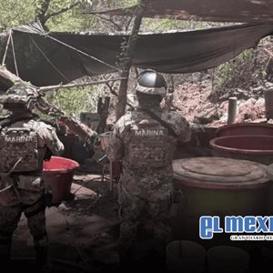 Desmantelan cinco laboratorios del narco en operativos