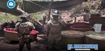 Desmantelan cinco laboratorios del narco en operativos Desmantelan cinco laboratorios del narco en operativos