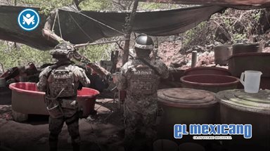 Desmantelan cinco laboratorios del narco en operativos