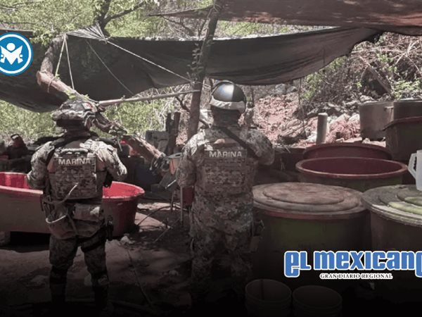 Desmantelan cinco laboratorios del narco en operativos