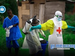 OMS declara emergencia internacional por brote de &eacute;bola en &Aacute;frica