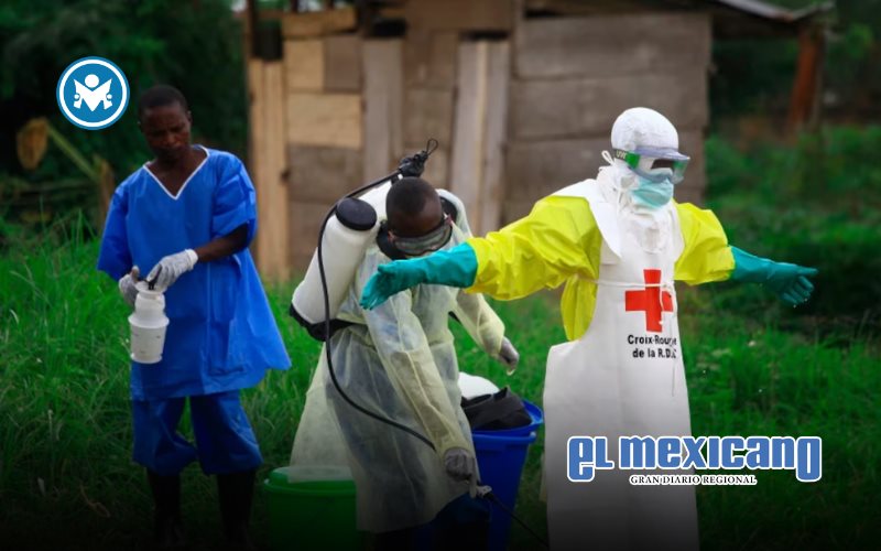 OMS declara emergencia internacional por brote de &eacute;bola en &Aacute;frica