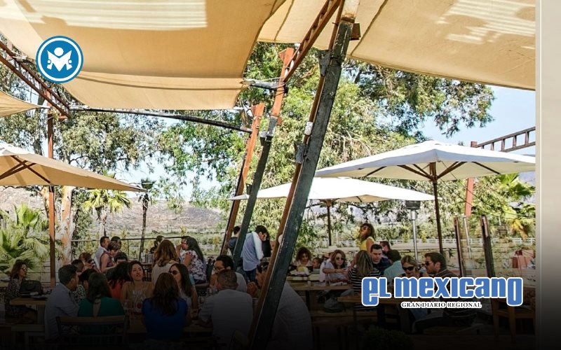 Reafirman al Valle de Guadalupe como orgullo tur&iacute;stico de BC