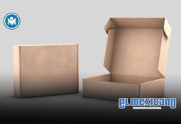 Causa en Común alerta rezagos en seguridad pública en México Causa en Común alerta rezagos en seguridad pública en México