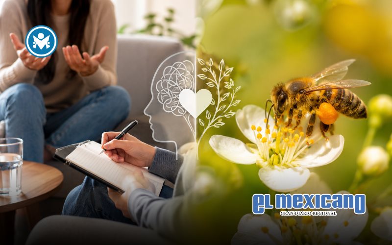 20 de mayo: D&iacute;a del Psic&oacute;logo en M&eacute;xico y D&iacute;a Mundial de las Abejas