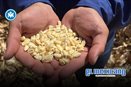 Productores de maíz exigen que el Precio Justo no quede solo en discurso Productores de maíz exigen que el Precio Justo no quede solo en discurso