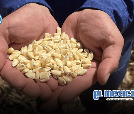Productores de maíz exigen que el Precio Justo no quede solo en discurso Productores de maíz exigen que el Precio Justo no quede solo en discurso
