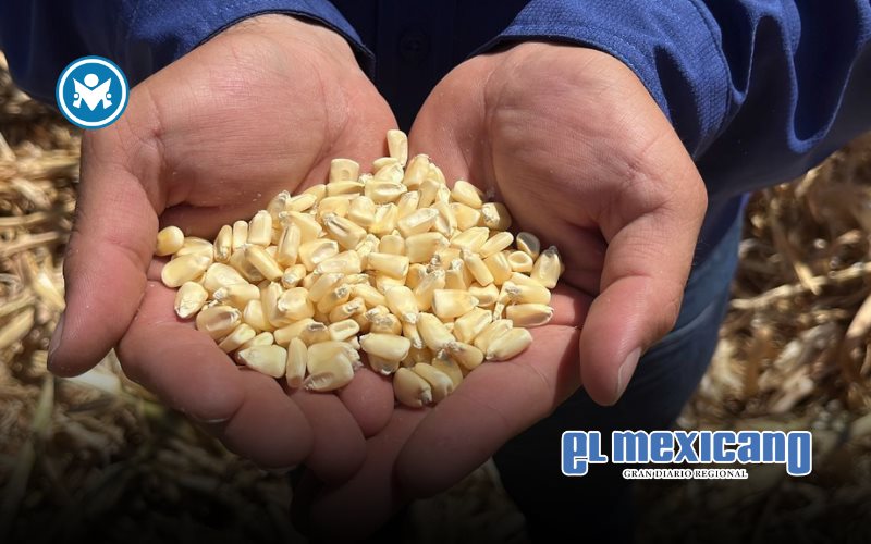 Productores de ma&iacute;z exigen que el Precio Justo no quede solo en discurso