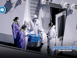 OMS eleva a 12 los casos de hantavirus tras nuevo positivo en Países Bajos OMS eleva a 12 los casos de hantavirus tras nuevo positivo en Países Bajos