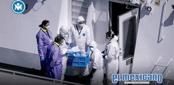 OMS eleva a 12 los casos de hantavirus tras nuevo positivo en Pa&iacute;ses Bajos