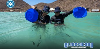 En el Día Internacional de la Diversidad Biológica, Santomar apuesta por salvar los océanos En el Día Internacional de la Diversidad Biológica, Santomar apuesta por salvar los océanos