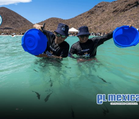 En el Día Internacional de la Diversidad Biológica, Santomar apuesta por salvar los océanos En el Día Internacional de la Diversidad Biológica, Santomar apuesta por salvar los océanos