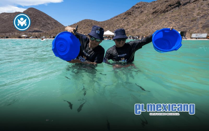 En el D&iacute;a Internacional de la Diversidad Biol&oacute;gica, Santomar apuesta por salvar los oc&eacute;anos