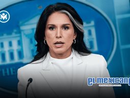 Tulsi Gabbard renuncia a la Inteligencia Nacional de EU tras diagnóstico de cáncer óseo de su esposo Tulsi Gabbard renuncia a la Inteligencia Nacional de EU tras diagnóstico de cáncer óseo de su esposo