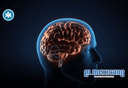 Enfermedades autoinmunes requieren diagnóstico oportuno y abordaje integral para mejorar la calidad de vida de los pacientes Enfermedades autoinmunes requieren diagnóstico oportuno y abordaje integral para mejorar la calidad de vida de los pacientes