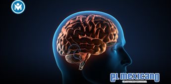Tu alimentación puede determinar cómo envejece tu cerebro Tu alimentación puede determinar cómo envejece tu cerebro