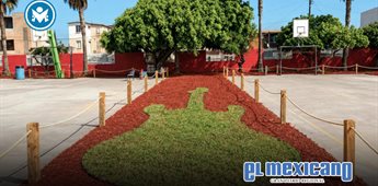 Renueva Naci&oacute;n Verde entorno escolar con soluciones basadas en la naturaleza