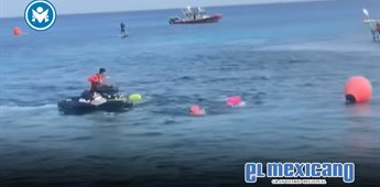 Cocodrilo irrumpe en competencia infantil en Cozumel