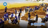 Sargazo afecta 65 playas en Quintana Roo; declaran alerta roja
