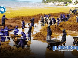 Sargazo afecta 65 playas en Quintana Roo; declaran alerta roja
