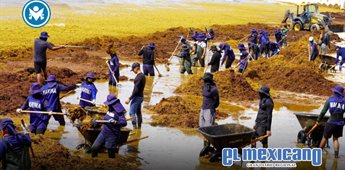 Sargazo afecta 65 playas en Quintana Roo; declaran alerta roja