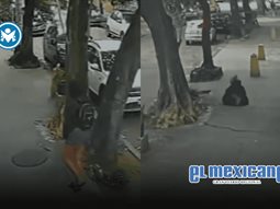 Mujer cae a alcantarilla en R&iacute;o de Janeiro por tapa mal colocada