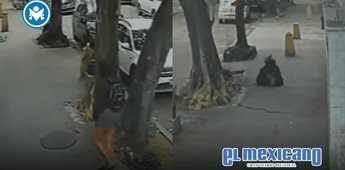 Mujer cae a alcantarilla en Río de Janeiro por tapa mal colocada Mujer cae a alcantarilla en Río de Janeiro por tapa mal colocada
