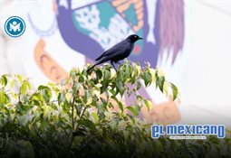 Ruiz Uribe sostiene gran encuentro en Casa Morena de Rosarito