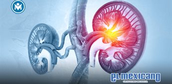 Innovador método quirúrgico amplía opciones de trasplante renal en pacientes de alto riesgo Innovador método quirúrgico amplía opciones de trasplante renal en pacientes de alto riesgo