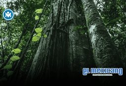 De la geolocalizaci&oacute;n al benchmark: c&oacute;mo miden las grandes flotas su madurez digital ante la saturaci&oacute;n vial.
