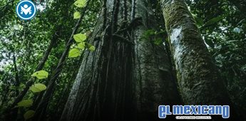 Del hito de operar con 100% energía renovable a la Lista A de CDP: Epson evidencia su compromiso con la sostenibilidad global Del hito de operar con 100% energía renovable a la Lista A de CDP: Epson evidencia su compromiso con la sostenibilidad global