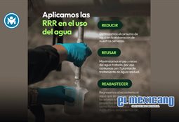 La vacunación, una aliada para prevenir enfermedades y muerte prematura en tus mascotas La vacunación, una aliada para prevenir enfermedades y muerte prematura en tus mascotas