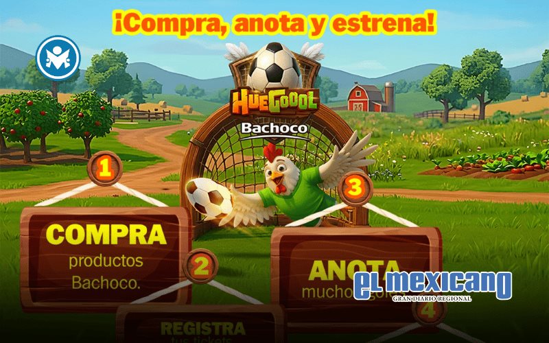 Los partidos se ven en casa: crecer&aacute; el consumo de alimentos para compartir durante el verano futbolero