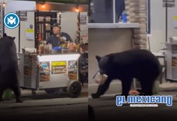 Persona encierra por accidente a su padre en una bodega Persona encierra por accidente a su padre en una bodega