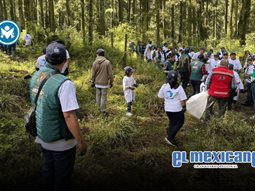 Convoca Nación Verde a empresas para restaurar ecosistemas Convoca Nación Verde a empresas para restaurar ecosistemas