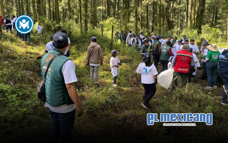 Convoca Naci&oacute;n Verde a empresas para restaurar ecosistemas