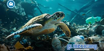 Océanos bajo presión: el origen terrestre de la contaminación plástica Océanos bajo presión: el origen terrestre de la contaminación plástica
