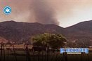Incendio forestal afecta m&aacute;s de 150 hect&aacute;reas en San Jos&eacute; de la Zorra