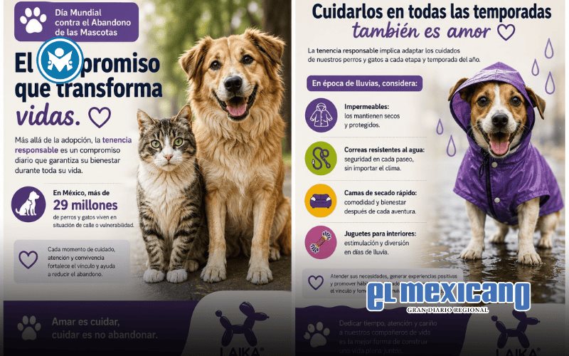 México enfrenta alto índice de abandono de mascotas México enfrenta alto índice de abandono de mascotas