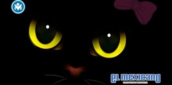 "Emiliana Gat-alana", el documental con una gata que busca el Ariel