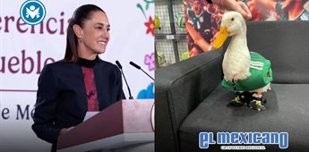 Claudia Sheinbaum Sheinbaum invita al Pato Merl&iacute;n y a su due&ntilde;a Karla a La Ma&ntilde;anera del Pueblo