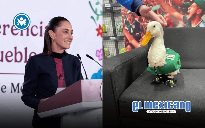 Claudia Sheinbaum Sheinbaum invita al Pato Merlín y a su dueña Karla a La Mañanera del Pueblo Claudia Sheinbaum Sheinbaum invita al Pato Merlín y a su dueña Karla a La Mañanera del Pueblo