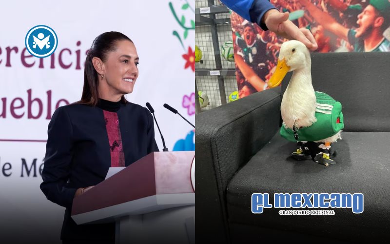 Claudia Sheinbaum Sheinbaum invita al Pato Merl&iacute;n y a su due&ntilde;a Karla a La Ma&ntilde;anera del Pueblo