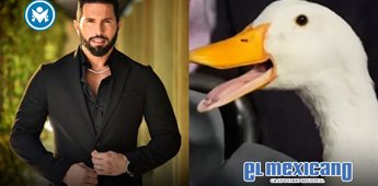 Poncho de Nigris ofrece medio mill&oacute;n de pesos por el Pato Merl&iacute;n