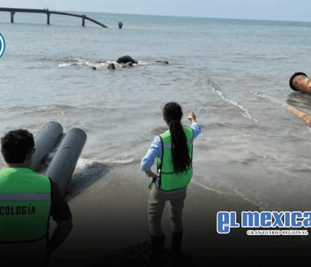 Denuncian nuevo derrame de hidrocarburo en La Ventosa, Oaxaca